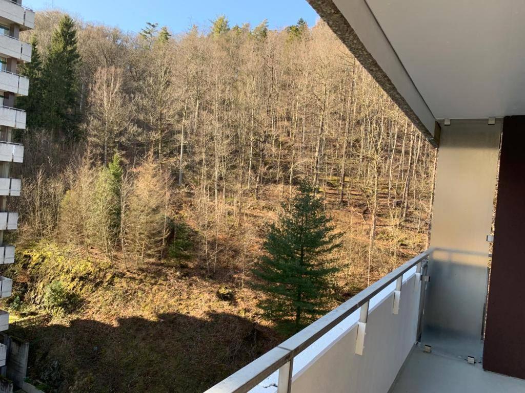 Mariposa 3 Incl Pool & Sauna Bad Harzburg Exterior foto