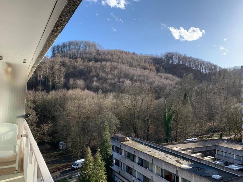 Mariposa 3 Incl Pool & Sauna Bad Harzburg Exterior foto